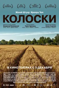 фильм